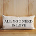 Craco Decorative Phrase Cushion for Home Living Room - Crudo 30x60 1