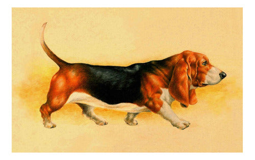 Perro Basset Hound - Mascotas - Animales - Lámina 45x30 Cm. 0