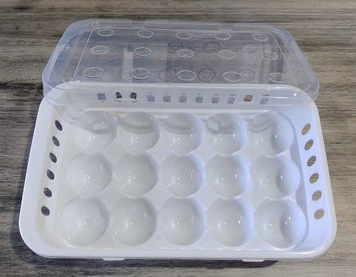 Plastic Egg Holder Tray X 15 with Transparent Lid and White Base by Pettish Online 3