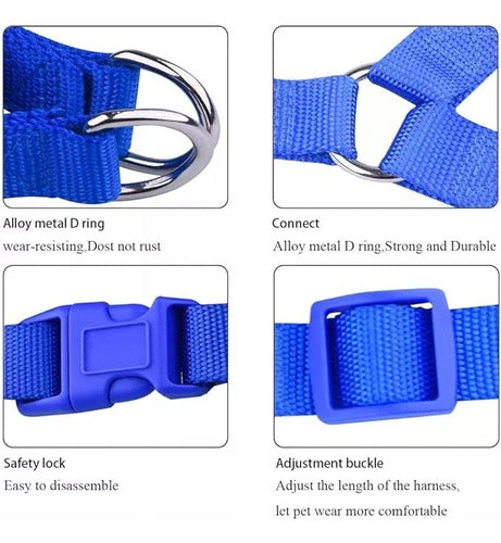 Adjustable Blue Harness for Large Pets 5