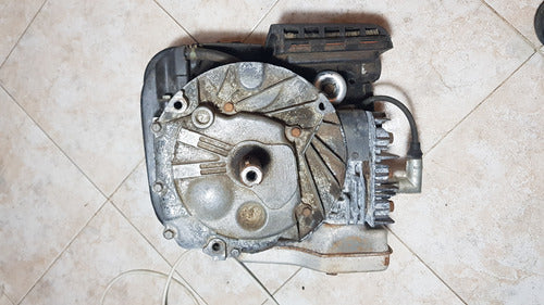 Motor Corta Pasto Briggs & Stratton 6