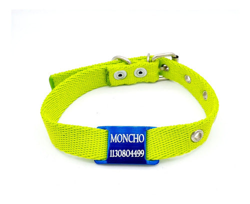 MEDALLAS PARA PERROS Chapitas Perros Pasador Azul + Collar De 2cm Verde Manzana 0