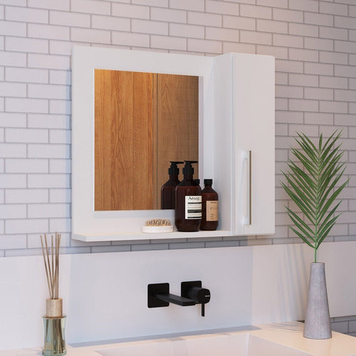 Almacen Del Hogar Modern Bathroom Mirror Medicine Cabinet Organizer BM-230 1