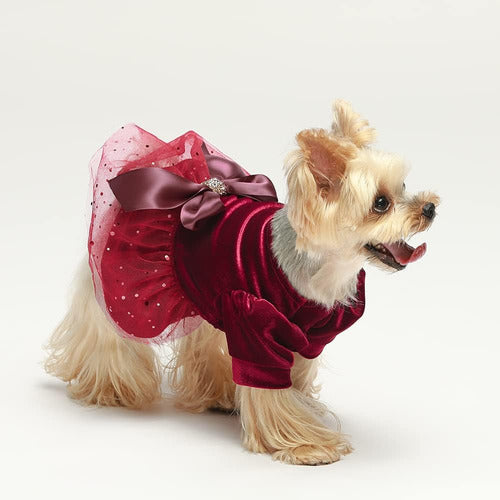 Ropa Perro Vestido Tul Invierno Perro Pequeño Talles Y Color 1