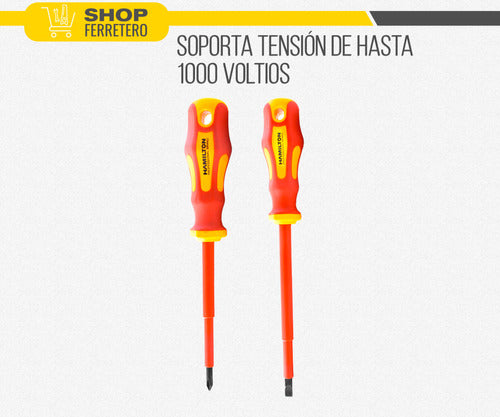 Hamilton Insulated Screwdriver Set + Gift 6