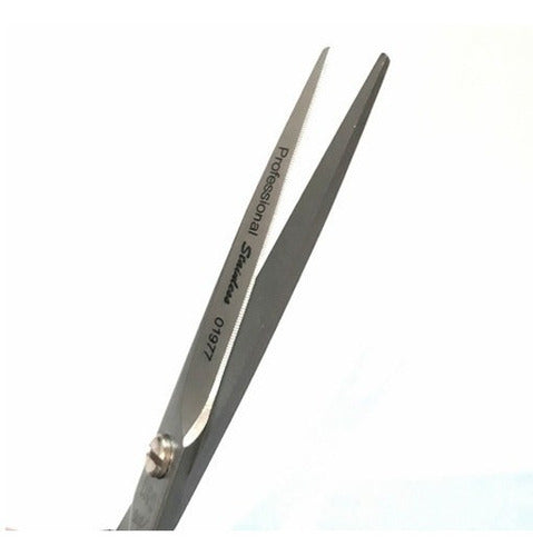 Eurostil Microdentada and Polishing Scissors 6 Inches Hairdressing 1