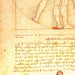 Beautiful Vitruvian Man Poster - Da Vinci - 120x85 New 7