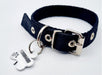 MEDALLAS PARA PERROS Chapita Identificatoria Perro Gato Trebol + Collar Negro 2cm 3