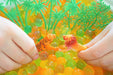 Biogel Gel Balls Ideal Sensory Activities 10 Colorful Sachets 5
