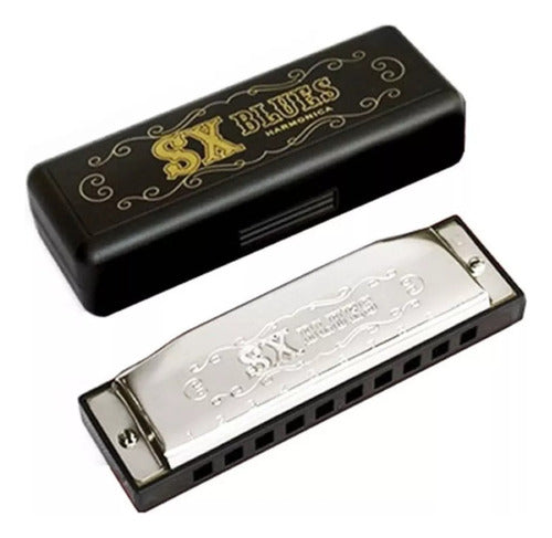 SX Diatonic Harmonica Set - 12 Notes + Case 5