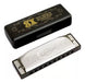 SX Diatonic Harmonica Set - 12 Notes + Case 5