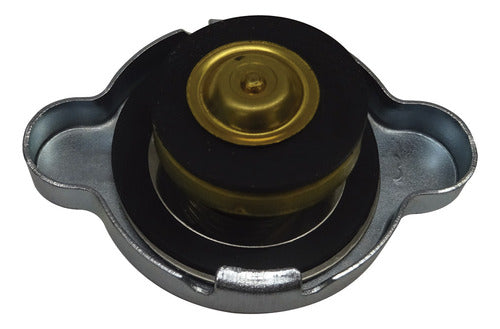 Tapa Radiador Agua Kwid - I37312 1