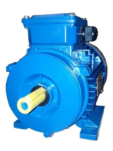 Branik Motor Eléctrico Trifasico 0.75 Hp 1500rpm Con Pata 0