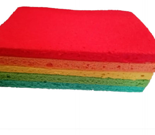 Bizcochuelo Rectangular Arcoiris (5 Colores) 20cm X 30 Cm 1