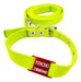 Medallas para perros Red Tag + Green Apple Collar and Leash 0