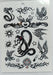 Temporary Self-Adhesive Tattoos Variety Pack 6 Sheets 2