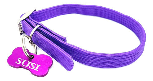 Medallas Para Perros Mini Chapita Perro Gato Hueso + Collar Elastizado Violeta 2