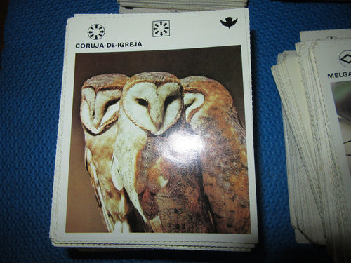 Coleçao Cards Mil Bichos Completa Abril Cultural 1978 2