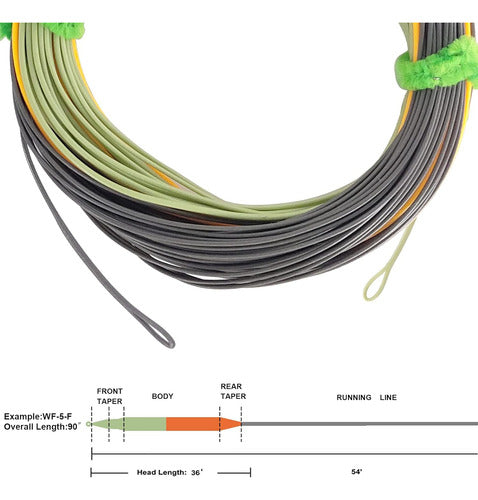 Aventik Fly Fishing Line Peso Hacia Adelante Flotante Fly 2