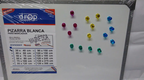 Artic Galera Magnets Various Colors Pack of 20 Units 7