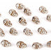 Rubyca 50 Skull Head Rapid Rivets and Studs - Silver 2