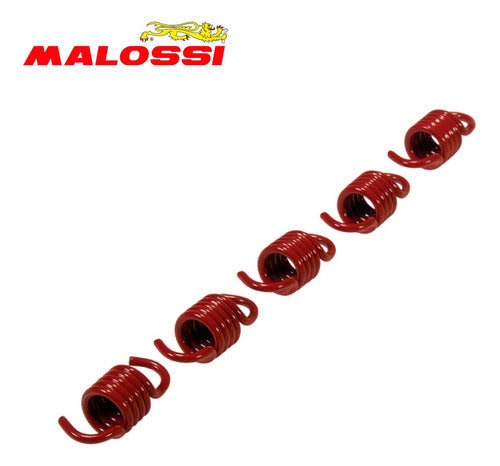 Malossi Kit X5 Resorte Embrague Kymco Xciting 500. Rojo 1