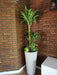 Ohana Arte Natural Large Interior Plants 0