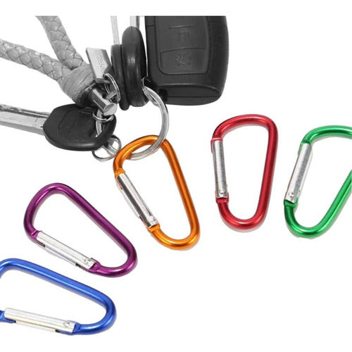 Bagdad Productos Keychain Carabiner X 12 Hook No. 5 Aluminum Colors 2