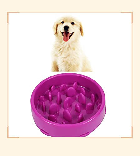 Jasgood Medium Slow Feeder Dog Bowl, Purple 4