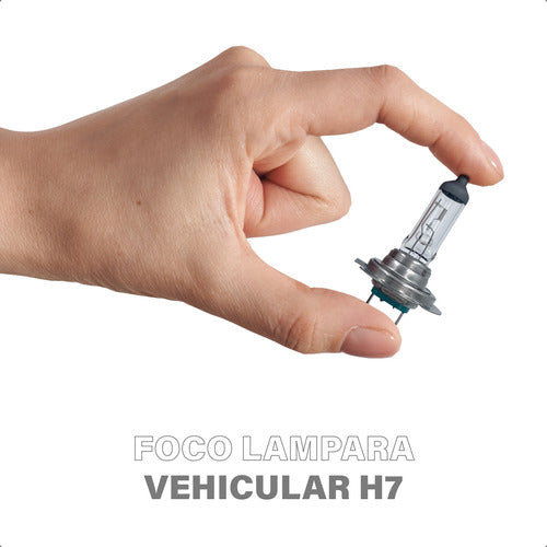 Lámparas Focos Kit X2 Unidades 12v 55w Automóvil Vehicular 1