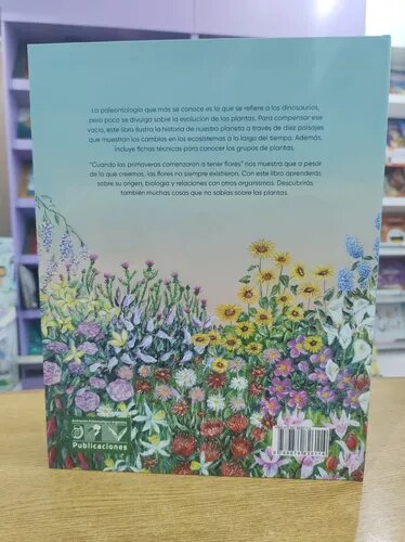 When Springs Began to Bloom - Book by Magdalena Llorens and Mariano Arami