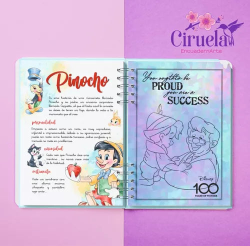 Disney 100 Years Agenda Replica - Timeless Magic in Your Hands - Agend —  Latinafy