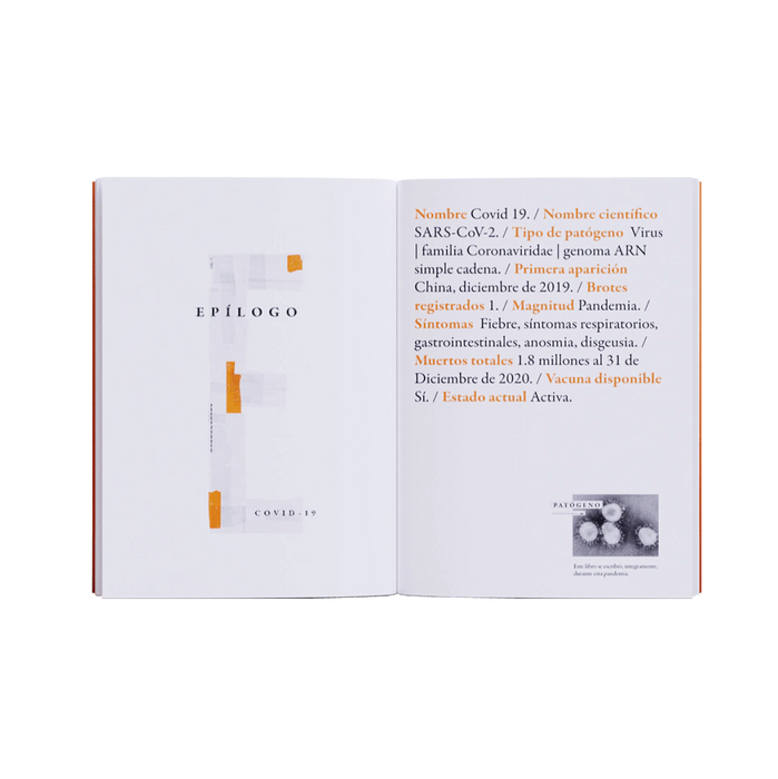 Fiebre: Breve colección de Epidemias - 2da edición - Self-Help Book - by Carballeda, Manuel -  El Gato y La Caja - (Spanish)