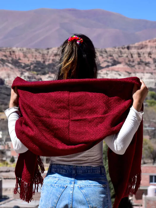 Handwoven Northern Wool Scarf | Humahuaca, Jujuy | Pashmina Norteño | Authentic Tejido Design (Board)