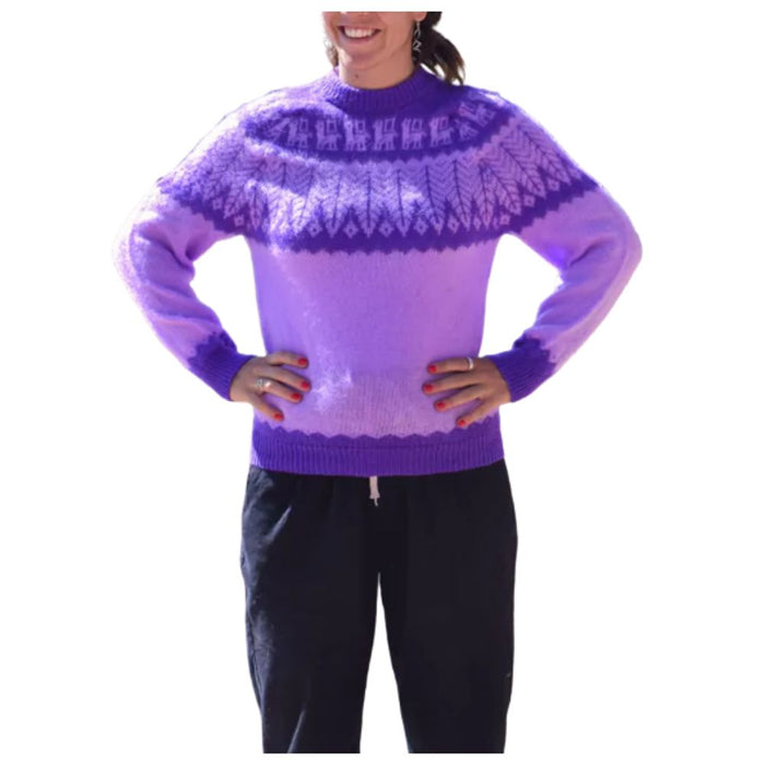 Humahuaca Sweater: Authentic Northern Knit Buzos for Unisex | Jujuy Inspired Tejido Patterns (Violet)