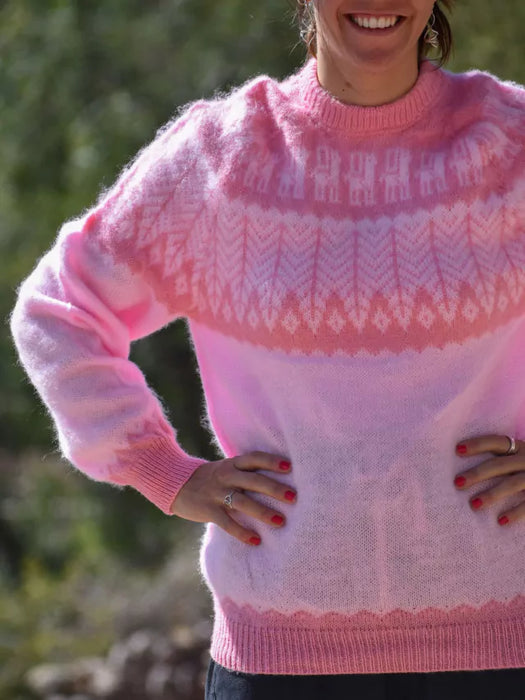 Humahuaca Sweater: Authentic Northern Knit Buzos for Unisex | Jujuy Inspired Tejido Patterns (Pink)
