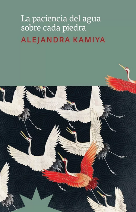 La Paciencia Del Agua Con Las Piedras - Fiction Book - by Alejadra Kamiya - Eterna Cadencia Editorial - (Spanish)