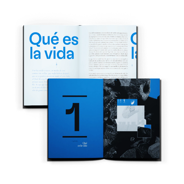 Libro de la vida - Libro de autoayuda - de Jimena Barbeito - El Gato y La Caja - (Español)