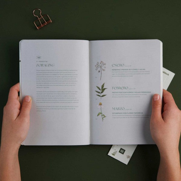 Monoblock Presents: Elegant 2024 A5 Weekly Botanical Planner by Cía Botánica - Perfect for Plant Enthusiasts