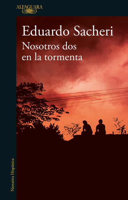 Nosotros Dos En La Tormenta - Fiction Book - by Eduardo Sacheri - Alfaguara Editorial - (Spanish)