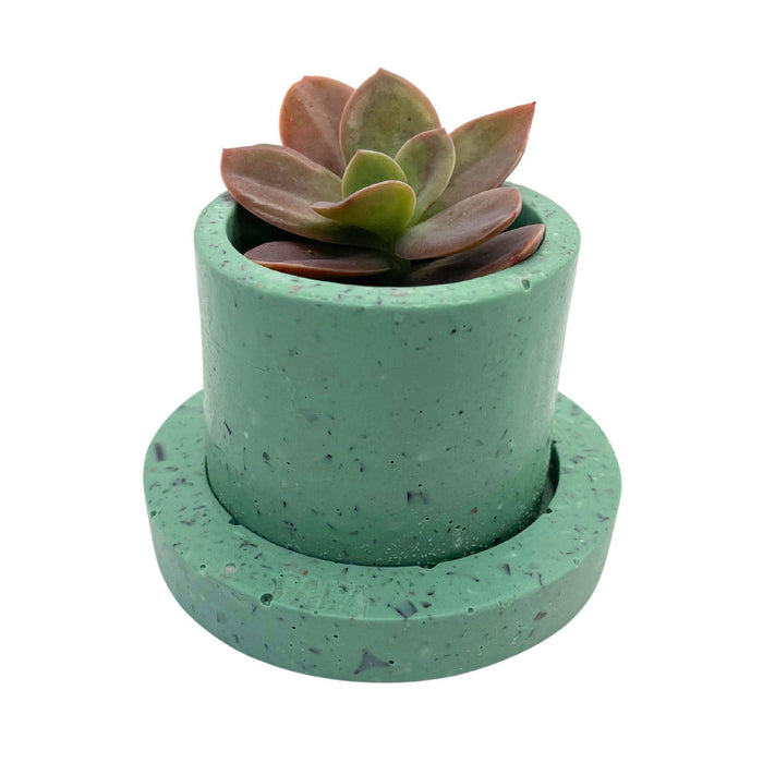 Papa Brand Eco-Friendly Planter: Style Meets Sustainability with Crushed Button Waste Crafting