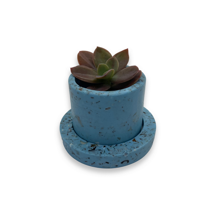 Papa Brand Eco-Friendly Planter: Style Meets Sustainability with Crushed Button Waste Crafting