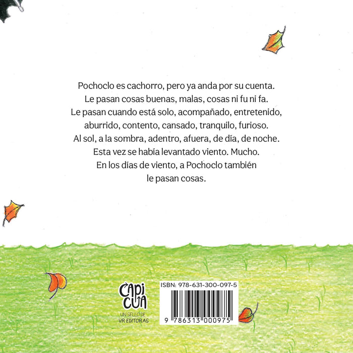 Pochoclo Contra el Viento Children's Book by Rivera, Iris - Editorial Vera Editoras (Spanish Edition)