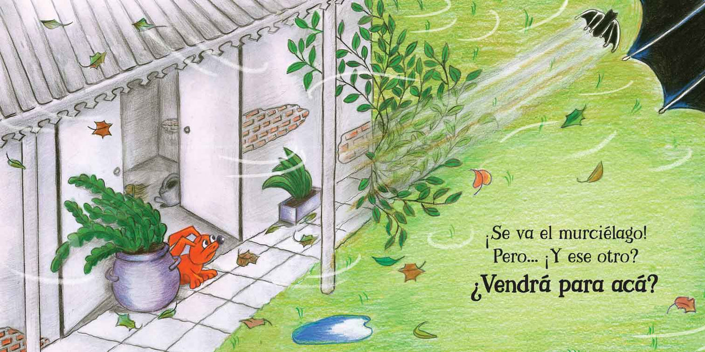 Pochoclo Contra el Viento Children's Book by Rivera, Iris - Editorial Vera Editoras (Spanish Edition)