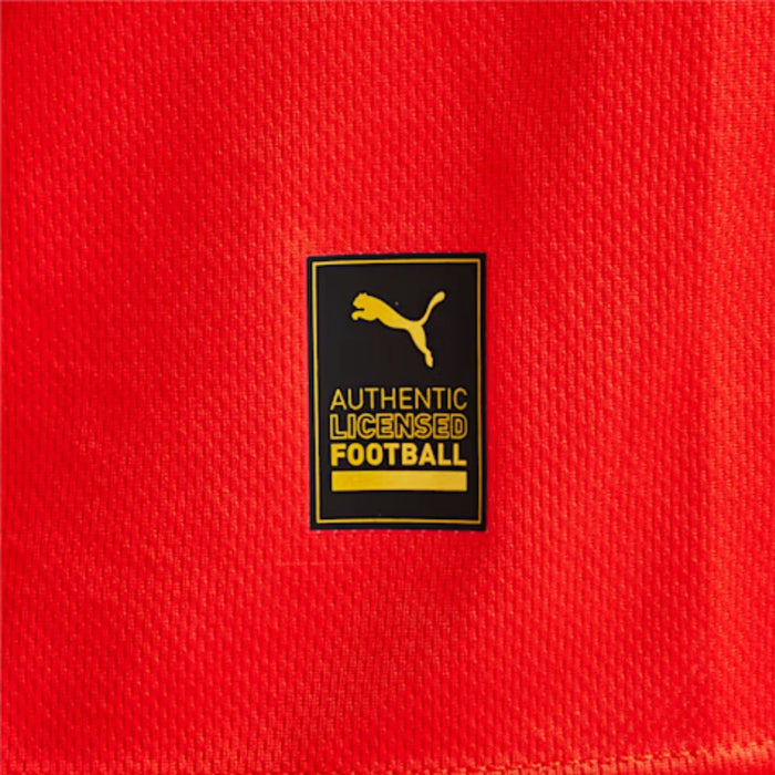 Puma Cai Home Promo Men's T-shirt ADP 23/24 - Official Club Atlético Independiente Product