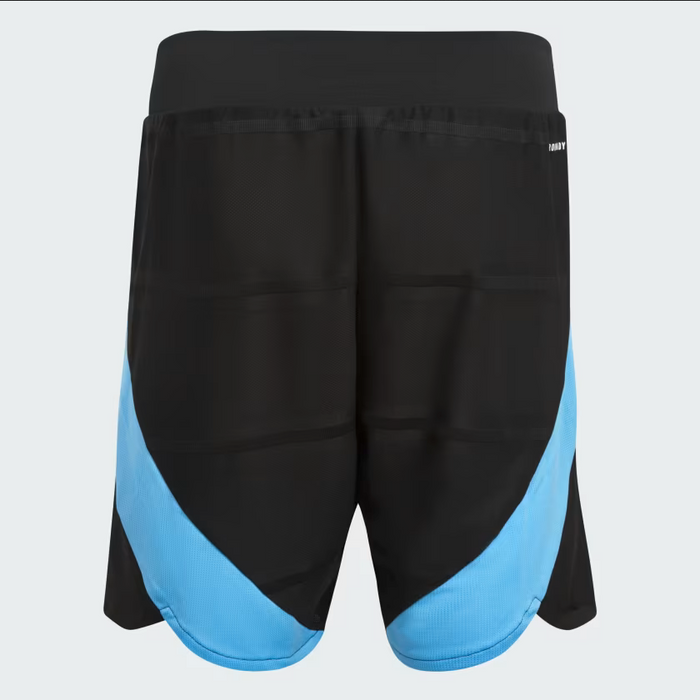Adidas - Authentic Argentina Home Shorts 24 (Black) | Recycled Materials, AEROREADY Technology | Cloth Player