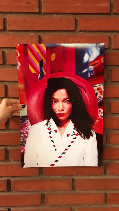 Ameba | Worldwide Artist Tribute Poster - Björk: Unique Wall Art