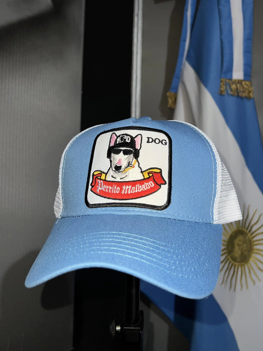 Gorra Perrito Malvado Caps - Colección Oficial Damas Gratis ATR