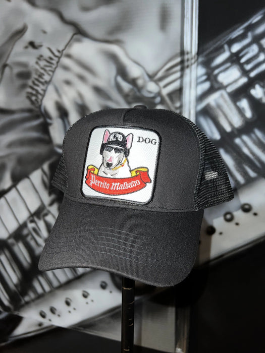 Gorra Perrito Malvado Caps - Colección Oficial Damas Gratis ATR